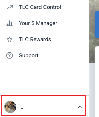 Mobile App Profile icon in sidebar menu