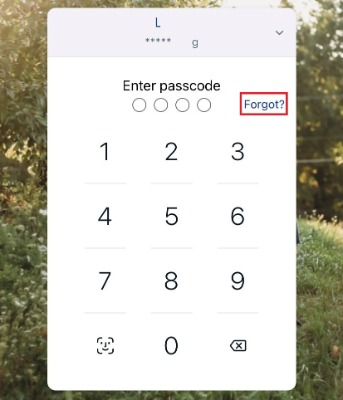 Passcode forgot mobile device