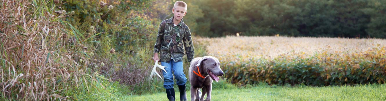 Hunting dog with boy