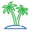 palm trees