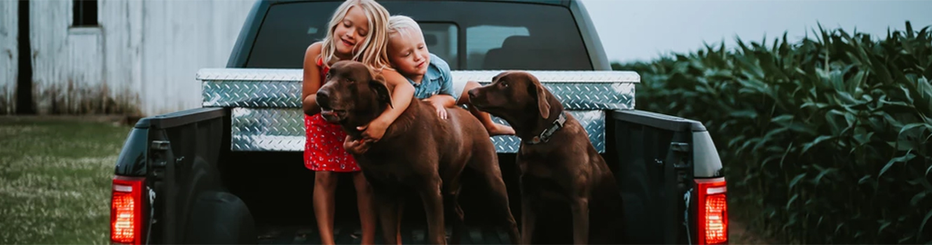 kids in the back of a pick up with dogs